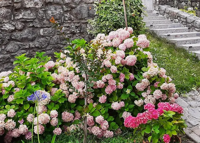 Сasa de vacaciones Mima, Kuca Za Odmor